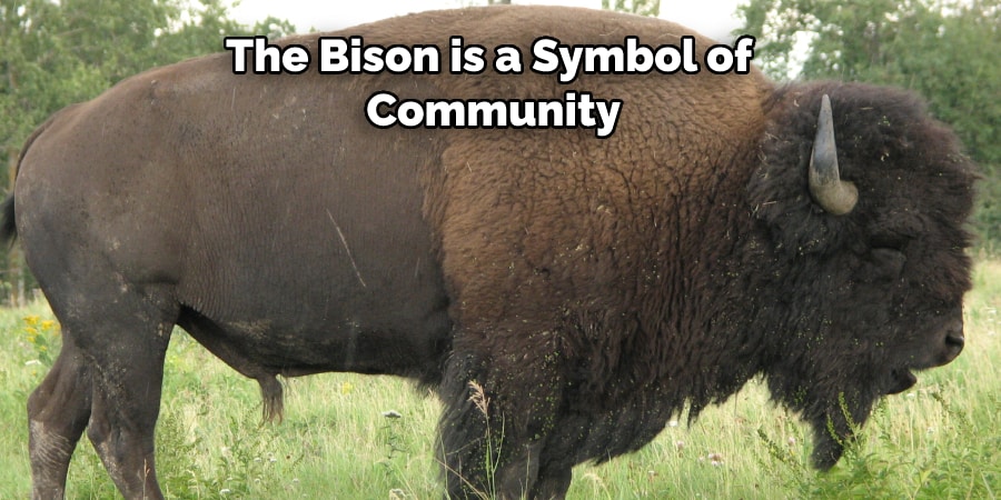 The Bison is a Symbol of  Community