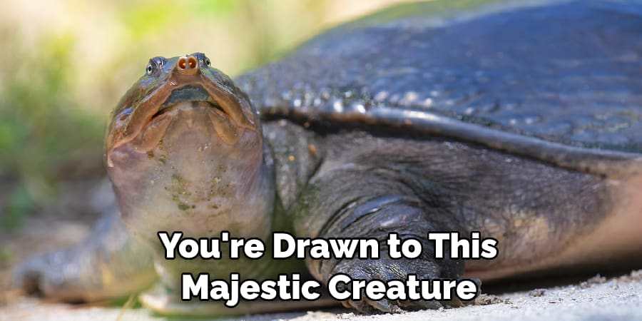  You're Drawn to This  Majestic Creature