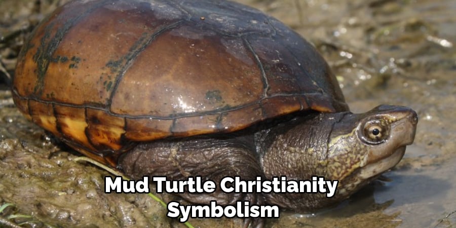 Mud Turtle Christianity  Symbolism