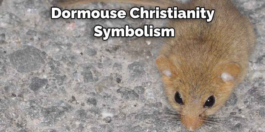 Dormouse Christianity  Symbolism