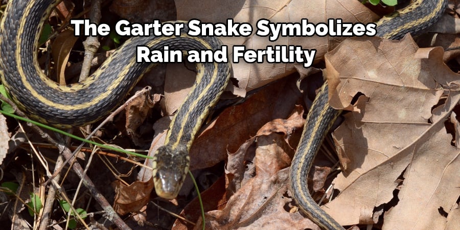 The Garter Snake Symbolizes  Rain and Fertility
