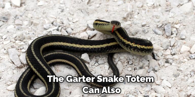 Garter Snake Spiritual Meaning, Symbolism, And Totem (2022)