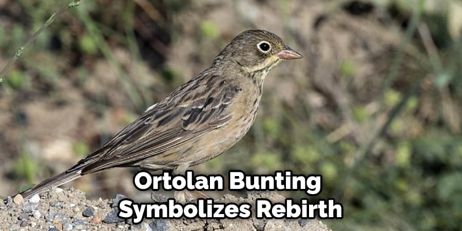 Ortolan Bunting Symbolizes Rebirth