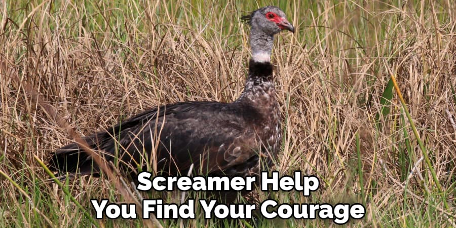 Screamer Help You Find Your Courage