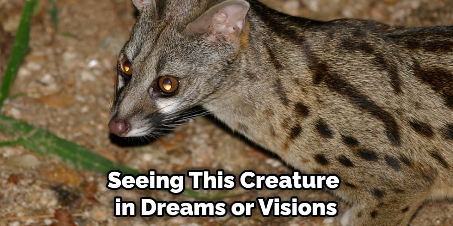 Seeing This Creature in Dreams or Visions