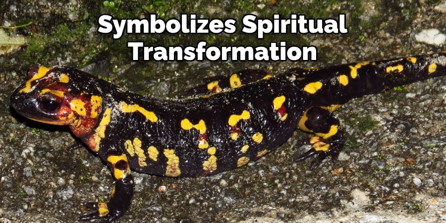 Symbolizes Spiritual Transformation