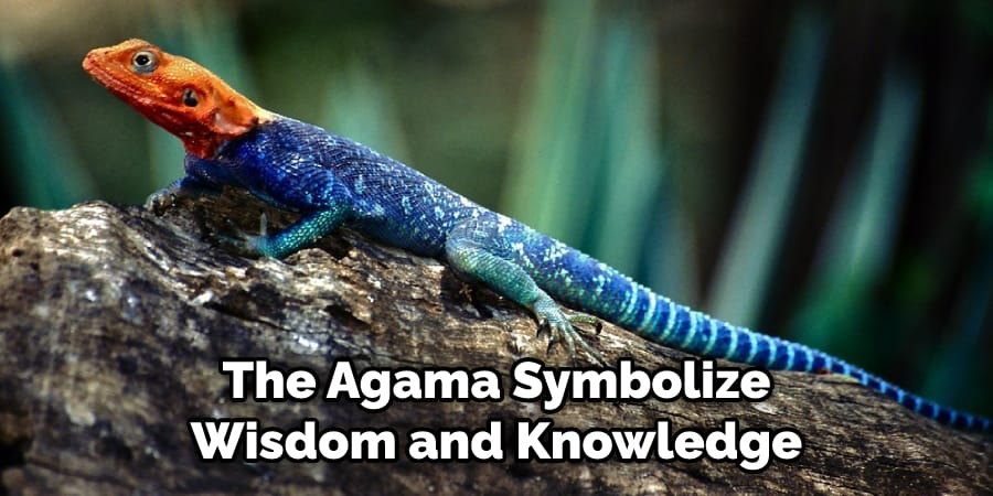 The Agama Symbolizes Wisdom and Knowledge