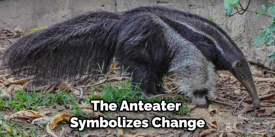 The Anteater Symbolizes Change
