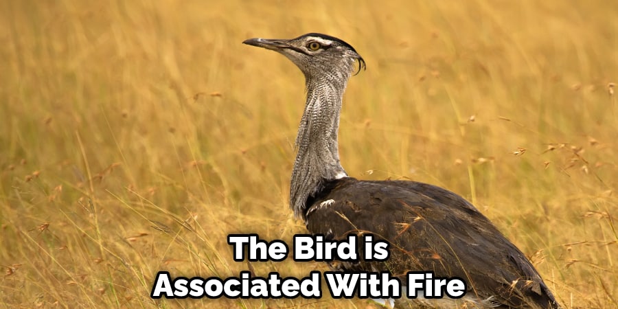 The Bird is Associated With Fire