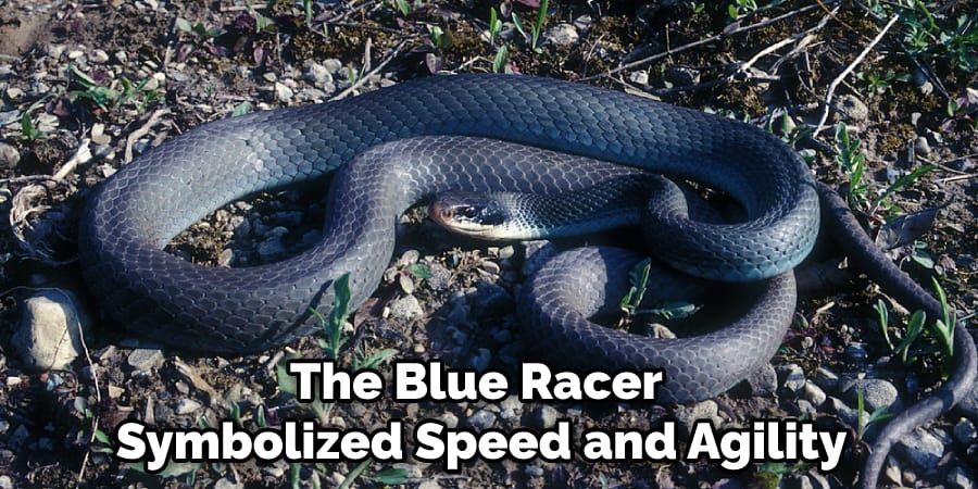 The Blue Racer Symbolized Speed and Agility