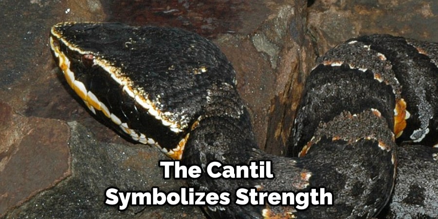 The Cantil Symbolizes Strength