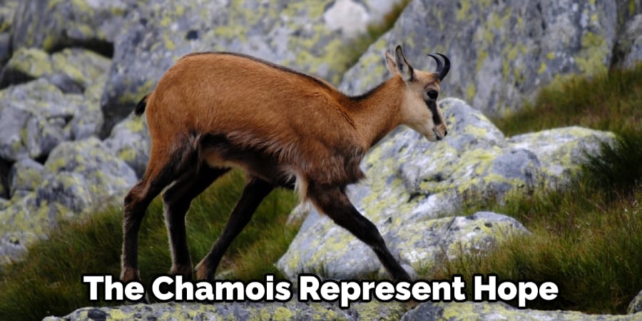 The Chamois Represent Hope