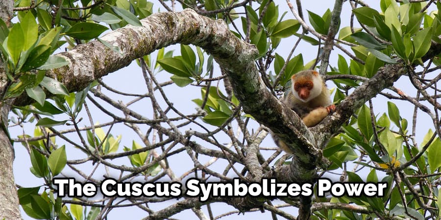 The Cuscus Symbolizes Power