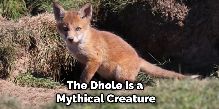 The Dhole is a  Mythical Creature