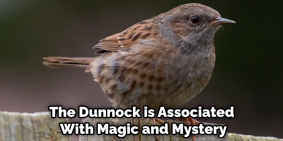 The Dunnock is Associated With Magic and Mystery