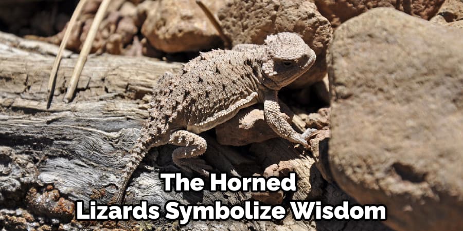 The Horned Lizards Symbolize Wisdom