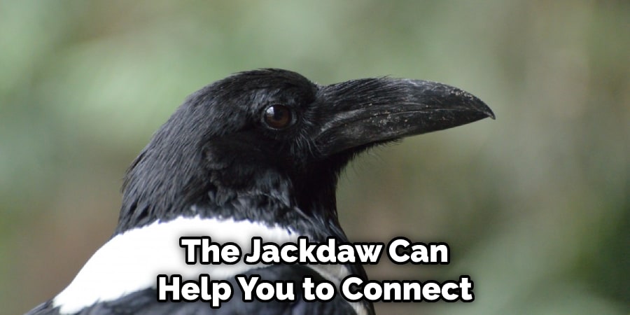 The Jackdaw Can Help You to Connect