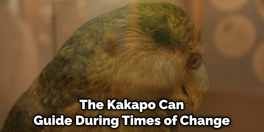 The Kakapo Can Guide During Times of Change