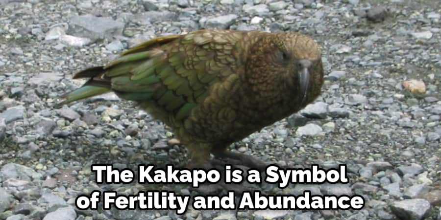 The Kakapo is a Symbol of Fertility and Abundance
