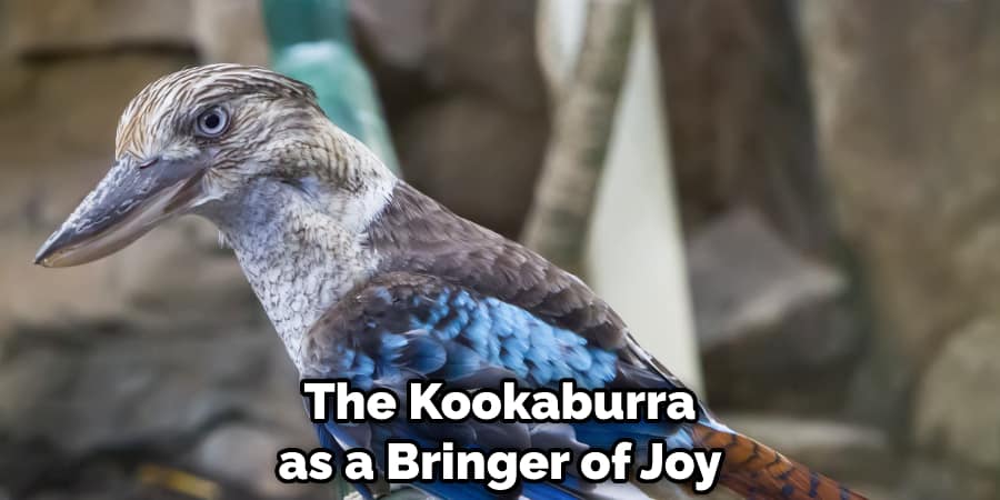 The Kookaburra as a Bringer of Joy