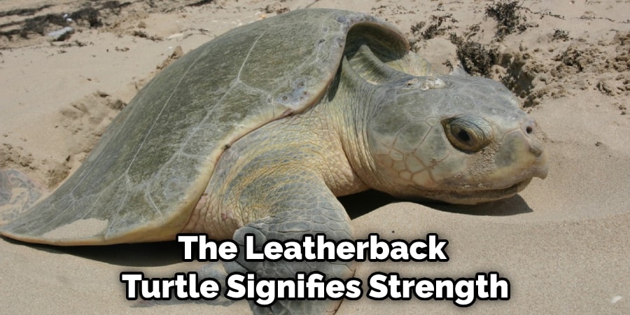 The Leatherback Turtle Signifies Strength