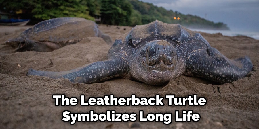 The Leatherback Turtle Symbolizes Long Life