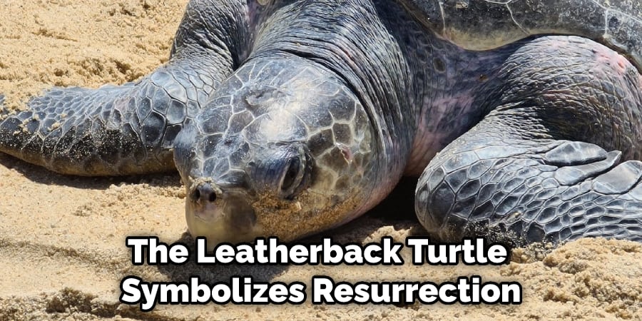 The Leatherback Turtle Symbolizes Resurrection