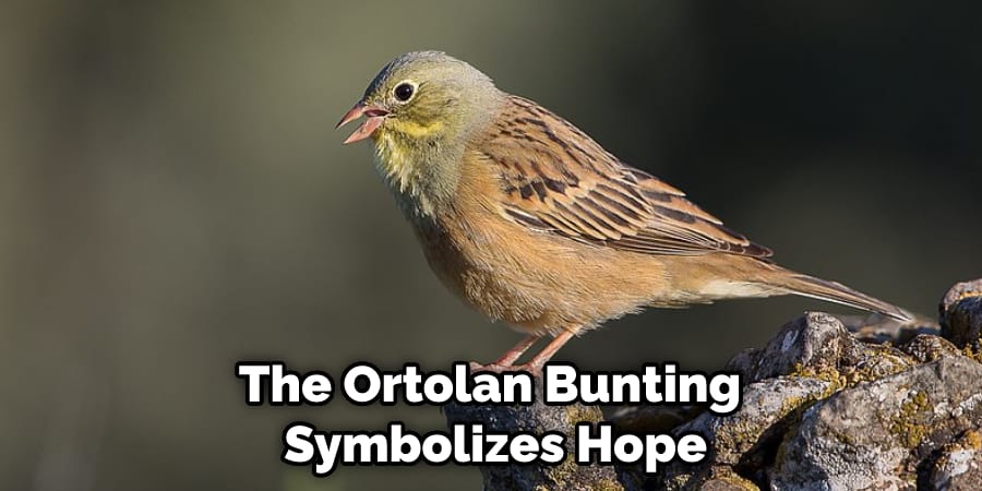The Ortolan Bunting Symbolizes Hope