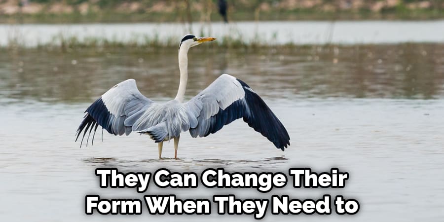 they can change their form when they need to.