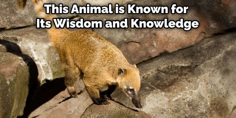 This Animal is Known for Its Wisdom and Knowledge