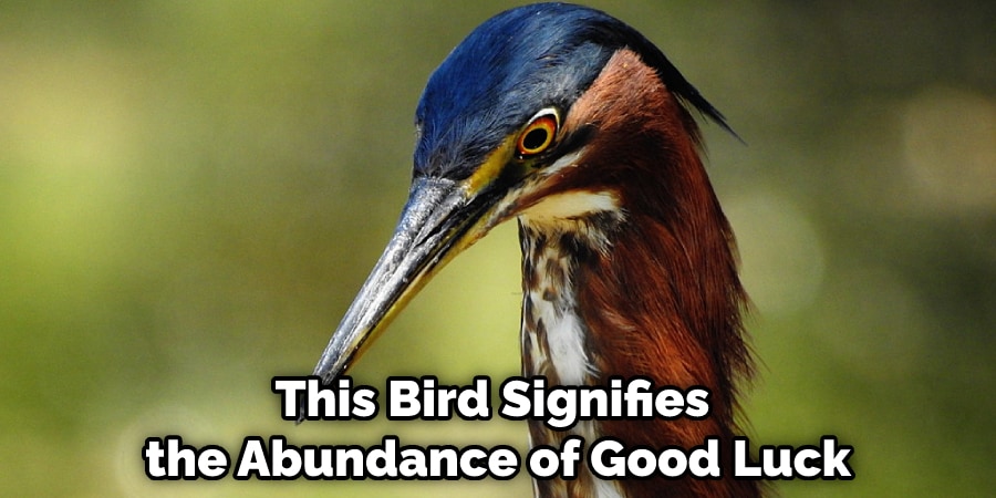 This Bird Signifies the Abundance of Good Luck