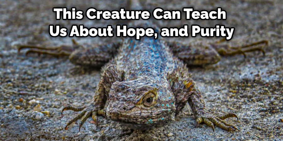 This Creature Can Teach Us About Hope, and Purity