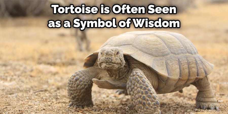  Tortoise is Often Seen as a Symbol of Wisdom
