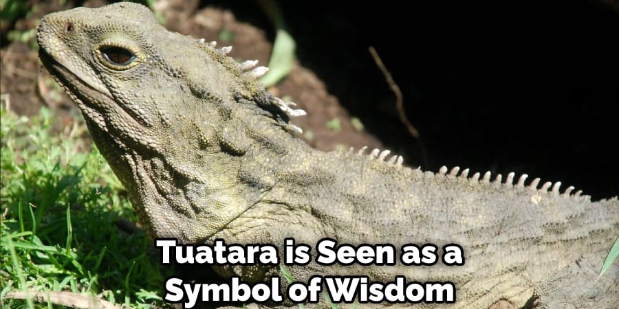 Tuatara is Seen as a Symbol of Wisdom 