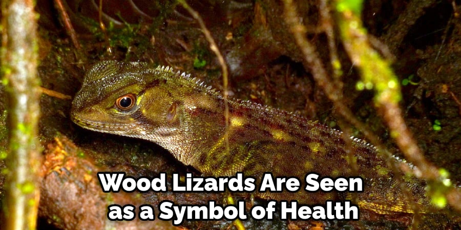 Wood Lizards Are Seen as a Symbol of Health