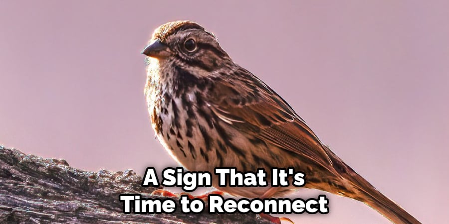 A Sign That It's Time to Reconnect