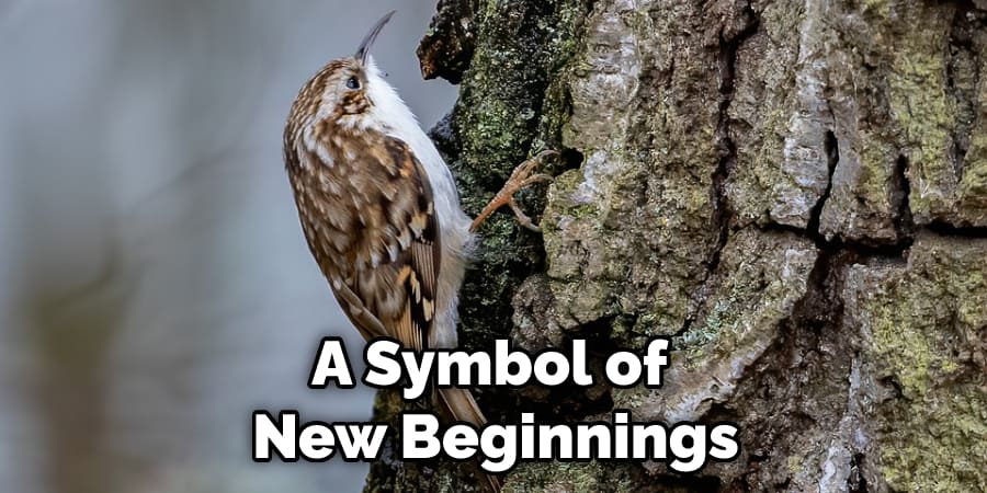 A Symbol of New Beginnings