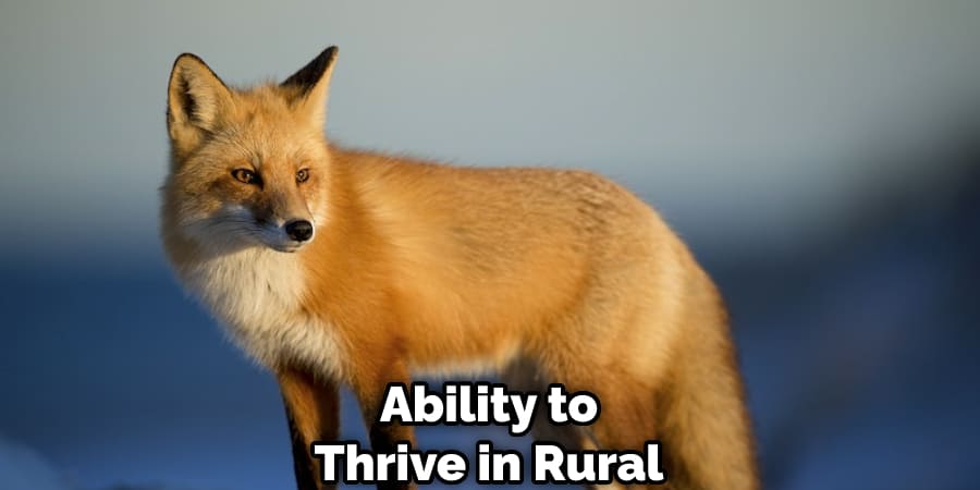 Ability to Thrive in Rural