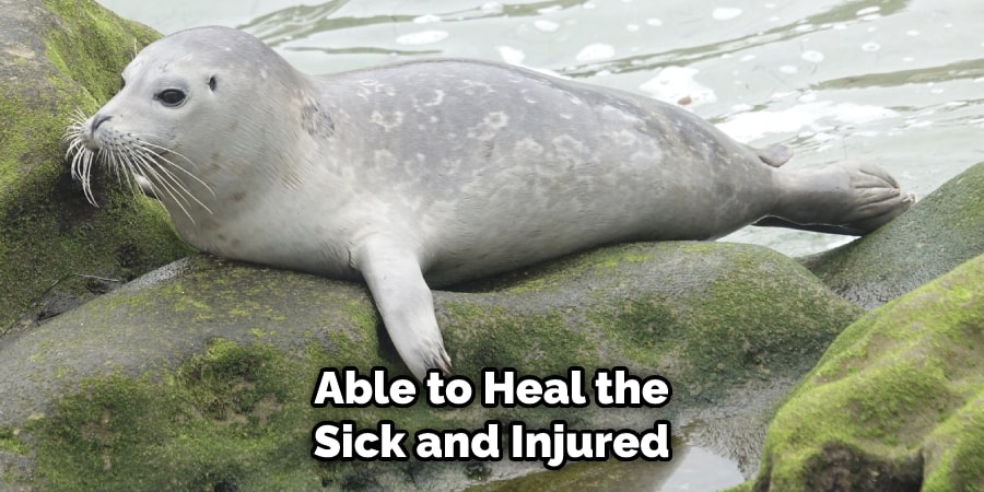 Able to Heal the Sick and Injured