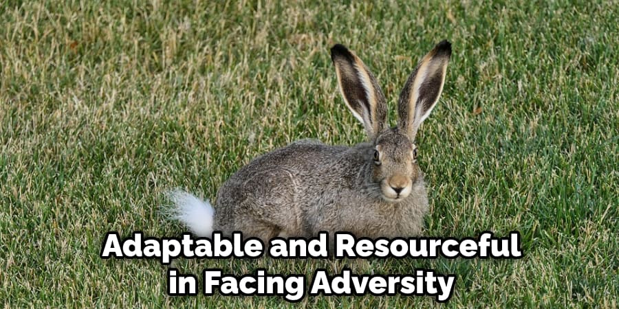 Adaptable and Resourceful in Facing Adversity