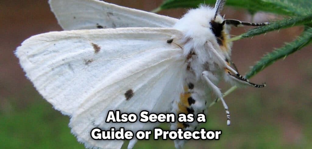 Also Seen as a Guide or Protector