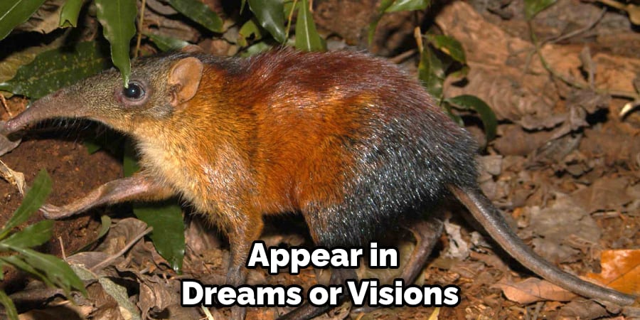  Appear in Dreams or Visions