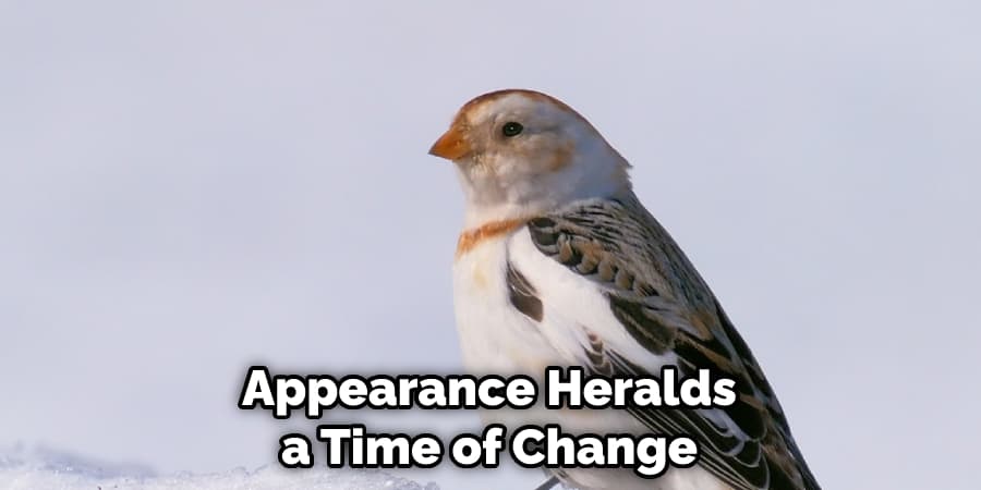 Appearance Heralds a Time of Change