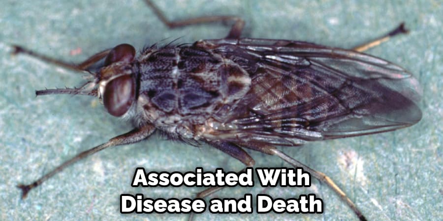 Associated With Disease and Death