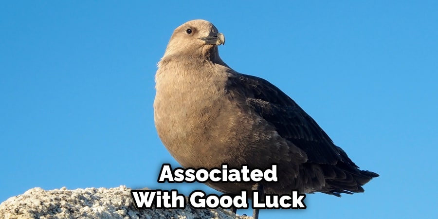 Associated With Good Luck