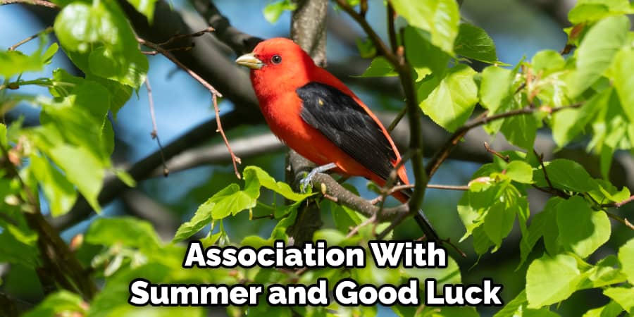Association With Summer and Good Luck