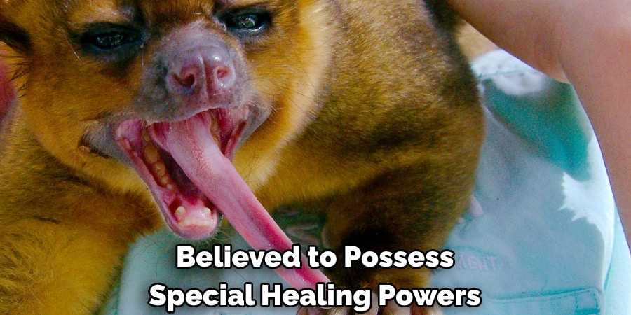 Believed to Possess Special Healing Powers