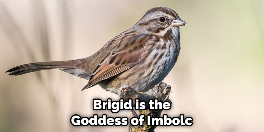 Brigid is the Goddess of Imbolc