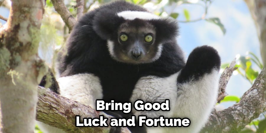 bring good luck and fortune 