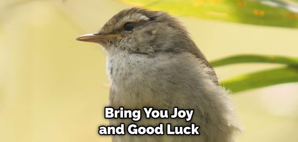 Bring You Joy and Good Luck